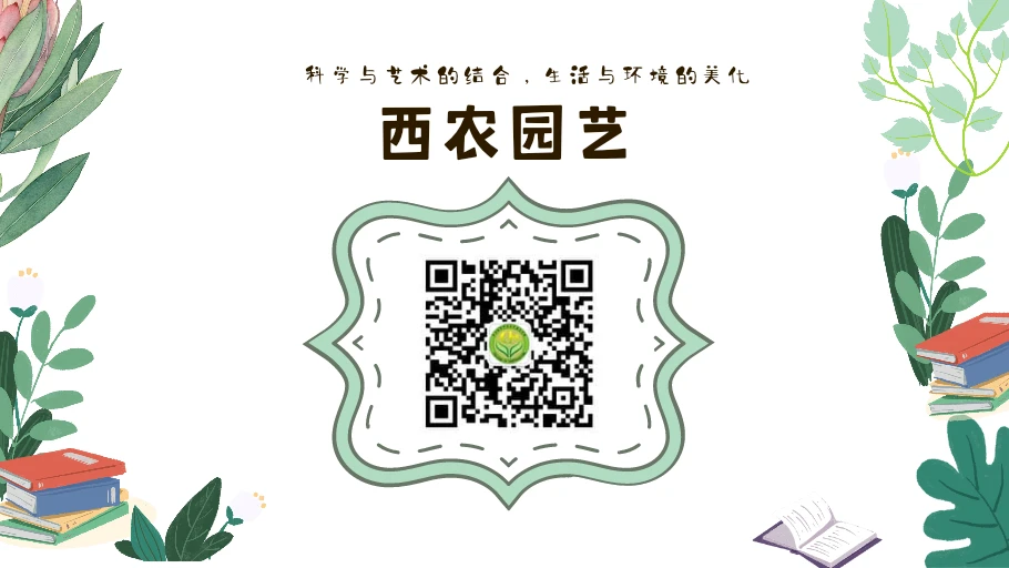 为什么智能指导能帮助提高篮球技能_0